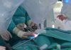 Hito médico en Madrid: Operan a un bebé de 3 meses con el robot Da Vinci en el 12 de Octubre