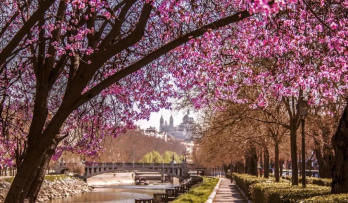 madrid-primavera-1024x597-1