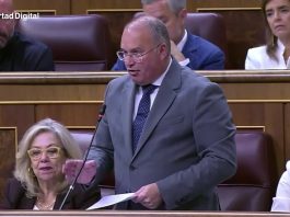 Tellado acusa a Marlaska de «encubrir a delincuentes» durante ocho años en el Ministerio del Interior