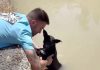 Un guardia civil fuera de servicio rescata a su cuarto perro en ocho meses de una acequia de Murcia: «Sospecho que es la misma persona que los lanza»