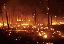 Los incendios queman ya 37.949 hectáreas en España, casi el triple que en 2025