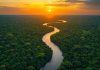 Un sismo de magnitud 4,3 sacude la Amazonía de Ecuador sin causar víctimas ni daños materiales