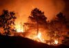 La trampa de la rambla: al menos 11 muertos y 19 desaparecidos en el incendio de Los Gallardos (Almería)