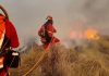 La UME despliega 200 militares en Los Gallardos para frenar un incendio que ya es el más mortífero de la década