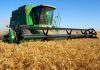 El calor arrasa la cosecha de cereales en España: la producción cae un 30% y aumenta la dependencia exterior