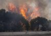 Los incendios de Madrid y Ávila obligan a evacuar a más de 11.500 personas y varias residencias de ancianos