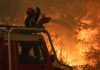 Madrid permite el regreso de algunos evacuados por el incendio de Ávila, el peor de la historia de España con 50.000 hectáreas quemadas