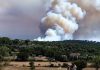 El incendio de Les Gavarres arrasa 1.800 hectáreas en Girona y afecta a 155 fincas mientras los registradores activan el portal de emergencias