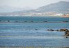 Ceuta estrena una barrera flotante de 500 metros con boyas de la Armada para frenar la entrada de migrantes