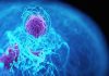 El fármaco revolucionario contra el cáncer de páncreas logra reducir tumores de pulmón en más del 30% de los pacientes