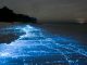 El mar se ilumina en Tenerife: la espectacular bioluminiscencia que tiñe de azul la costa de Radazul