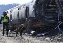 Renfe activa un plan alternativo con Cercanías y autobuses entre Madrid, Ciudad Real y Puertollano tras el accidente de Urda